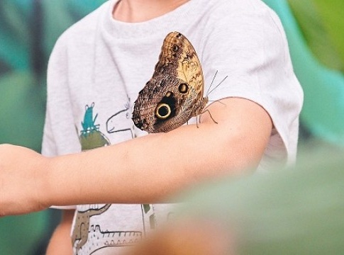 MOTYLARNIA PORT WŁADYSŁAWOWO