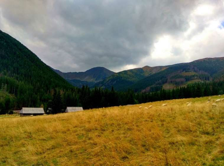 Testowy Pensjonat  ?v=