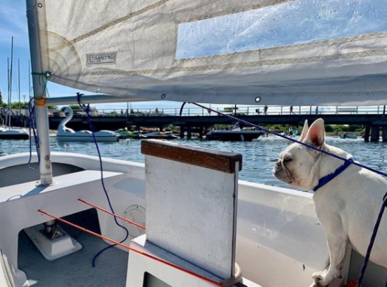 SURF STREFA - OPTYMISTY